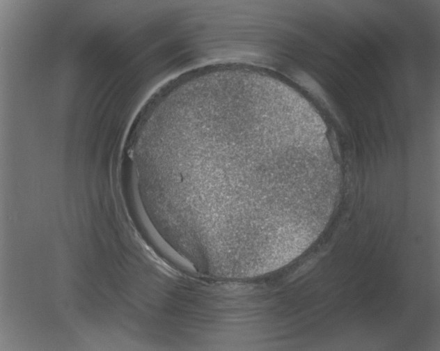 X0000080730924200701121906