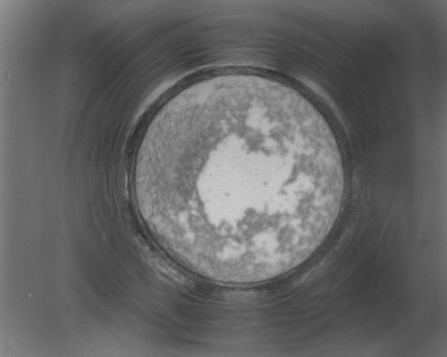 X0000080730925200701121906