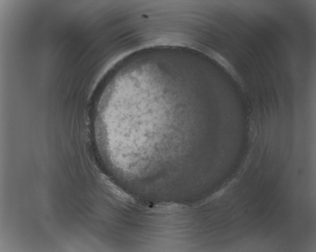 X0000080730926200701121906