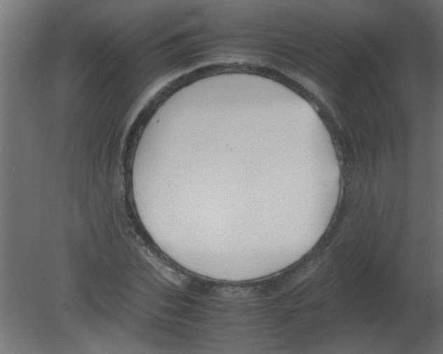 X0000080730927200701121906