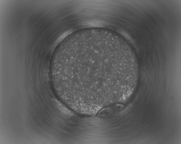 X0000080730930200701121906