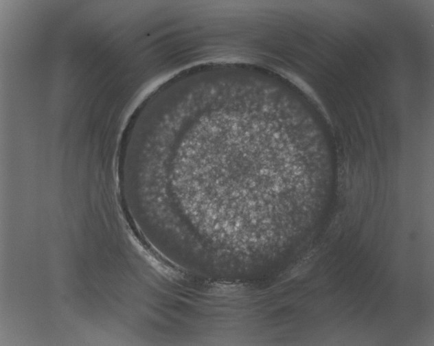 X0000080730935200701121907