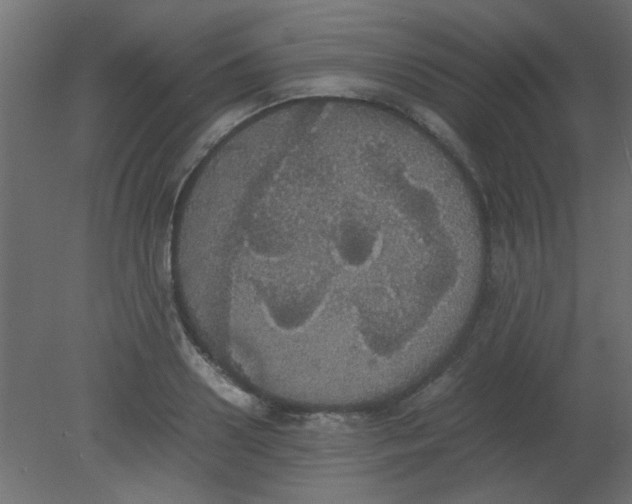 X0000080730938200701121907