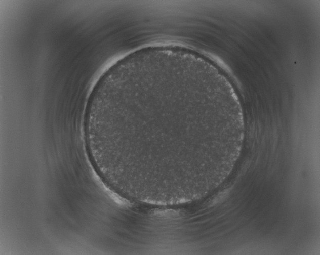 X0000080730943200701121907