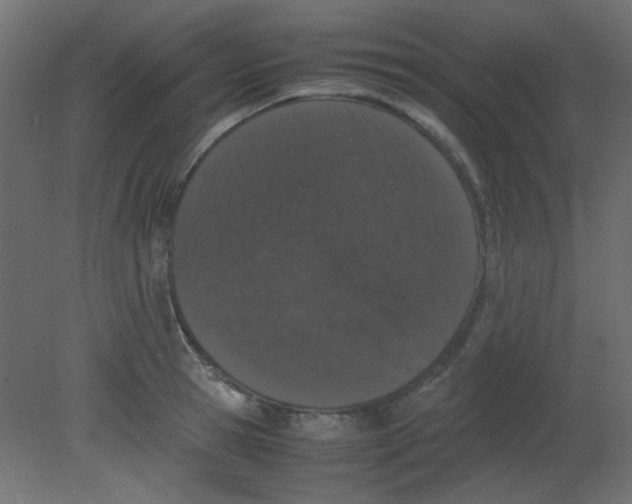 X0000080730945200701121907