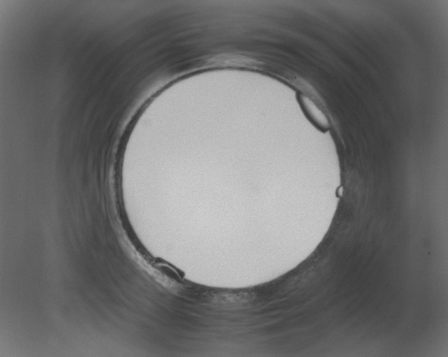 X0000080730947200701121907