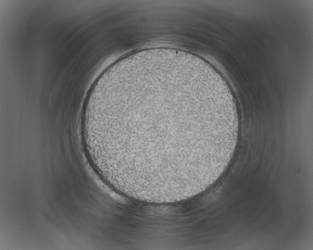 X0000080730949200701121907