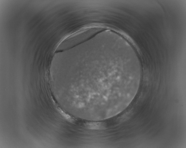 X0000080730953200701121907