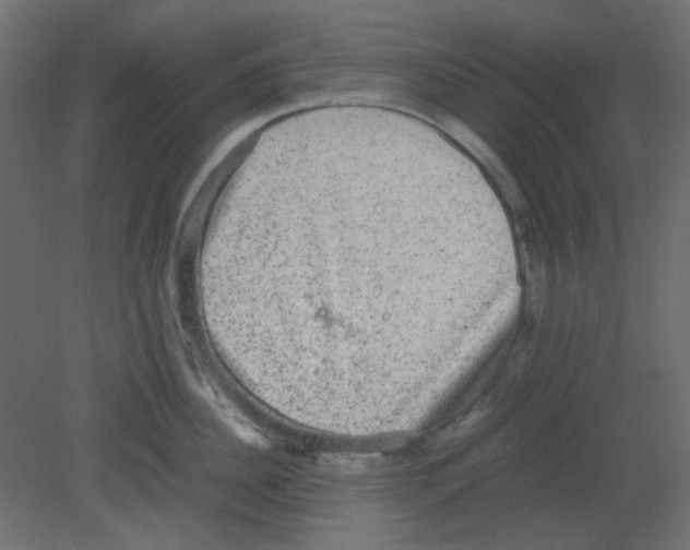 X0000080730956200701121907