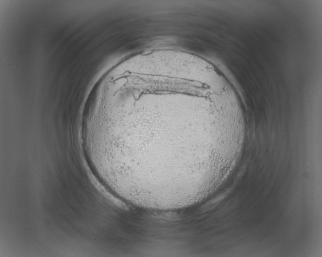 X0000080730957200701121907