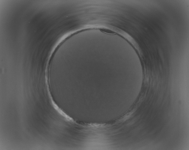 X0000080730958200701121907