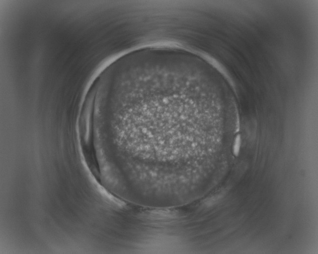 X0000080730959200701121907