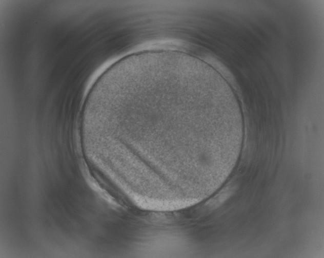 X0000080730960200701121907