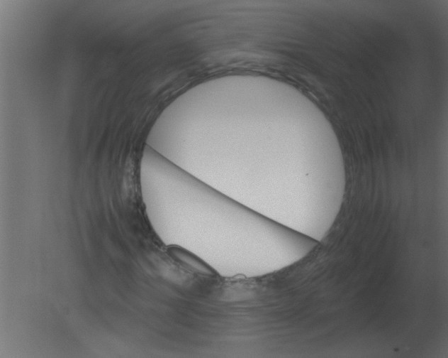 X0000080730964200701121906