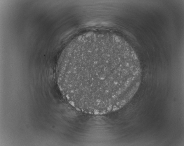 X0000080730966200701121906