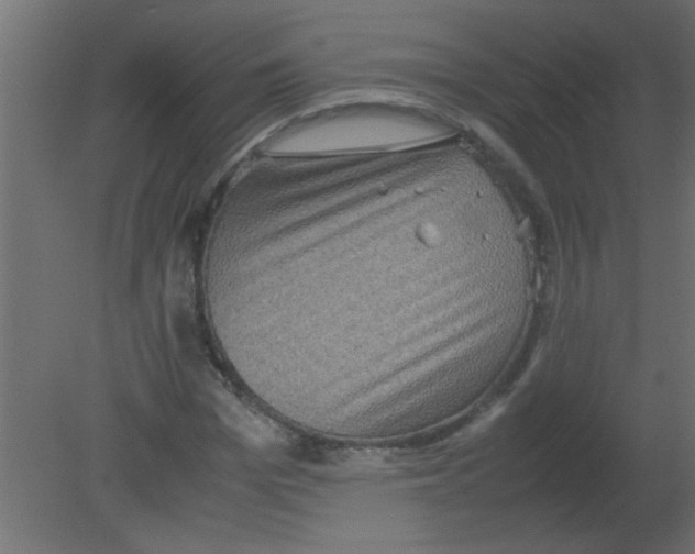 X0000080730969200701121906