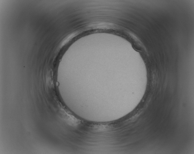 X0000080730970200701121906