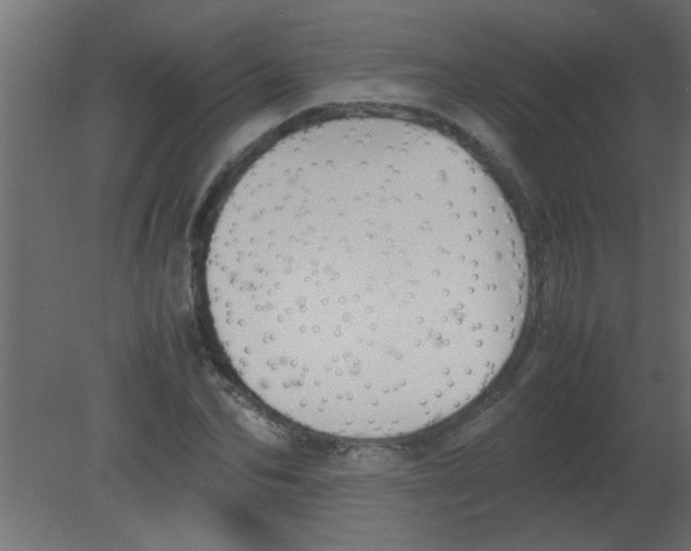 X0000080730974200701121906