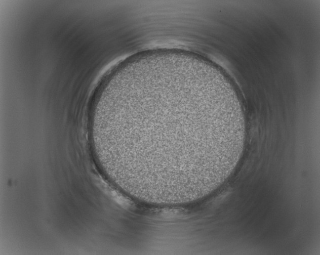 X0000080730979200701121906