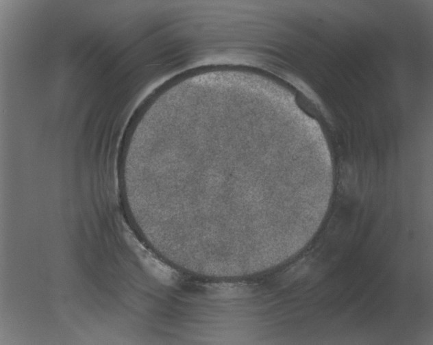 X0000080730980200701121906