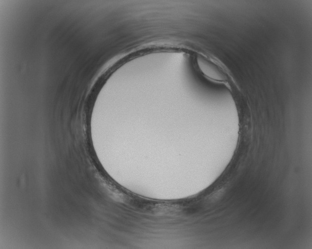 X0000080730981200701121906