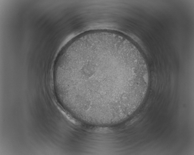 X0000080730982200701121906