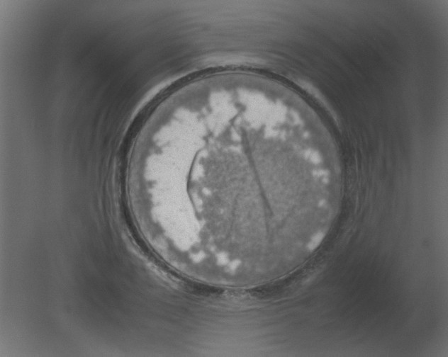 X0000080730983200701121906