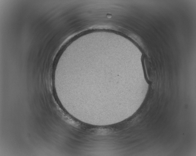 X0000080730984200701121906