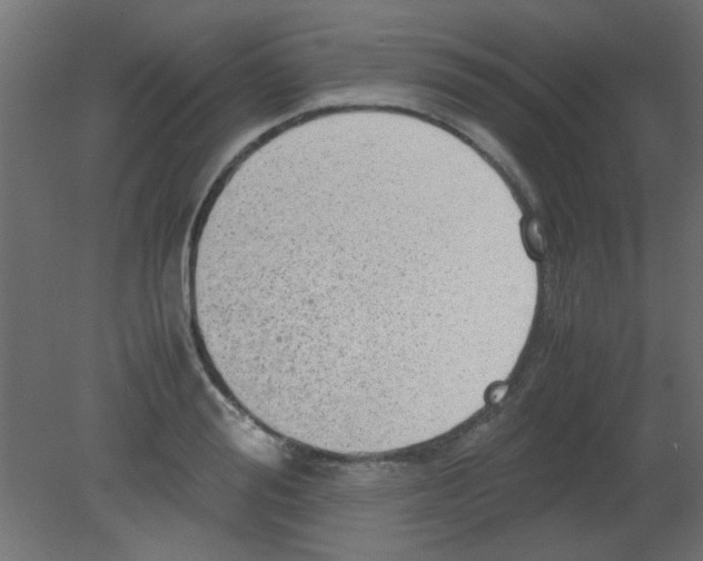 X0000080730988200701121906