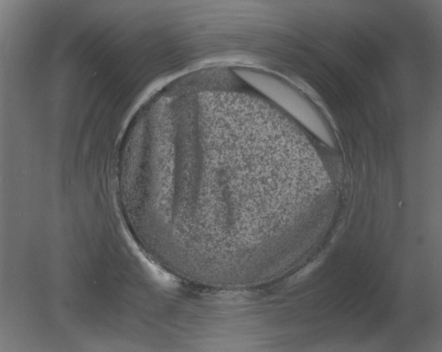 X0000080730989200701121906