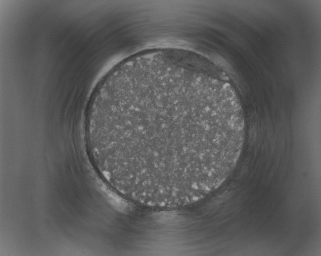 X0000080730990200701121906