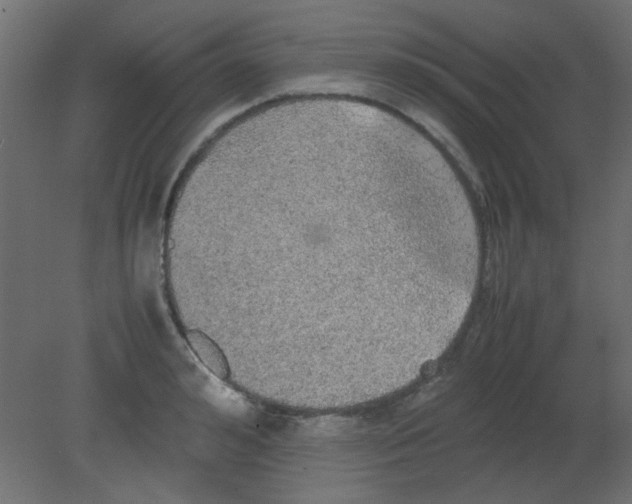 X0000080730992200701121906