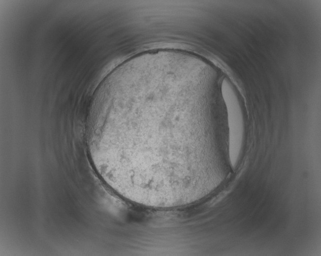 X0000080730993200701121906