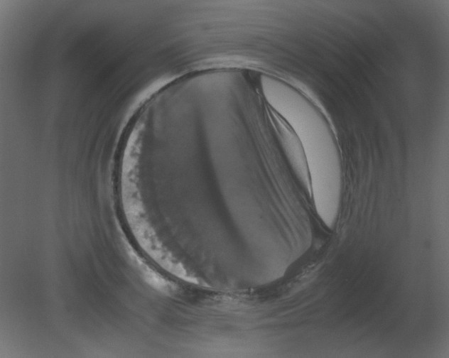 X0000080730995200701121906