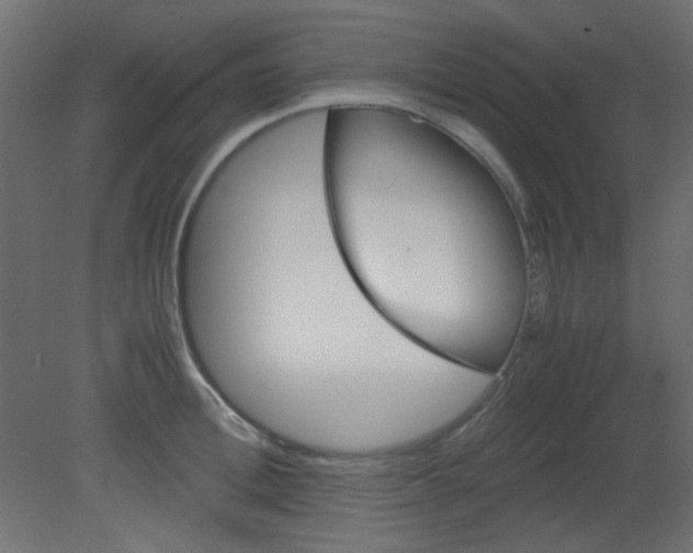 X0000080730996200701121906