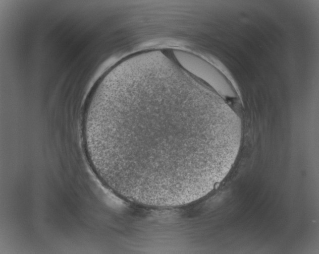 X0000080730997200701121906