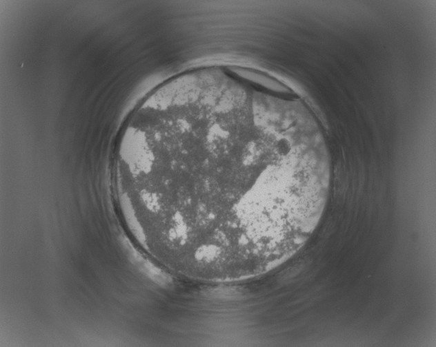 X0000080730998200701121906