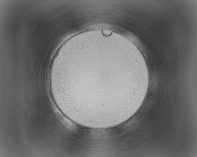 X0000080731000200701121906