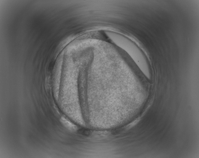 X0000080731001200701121905