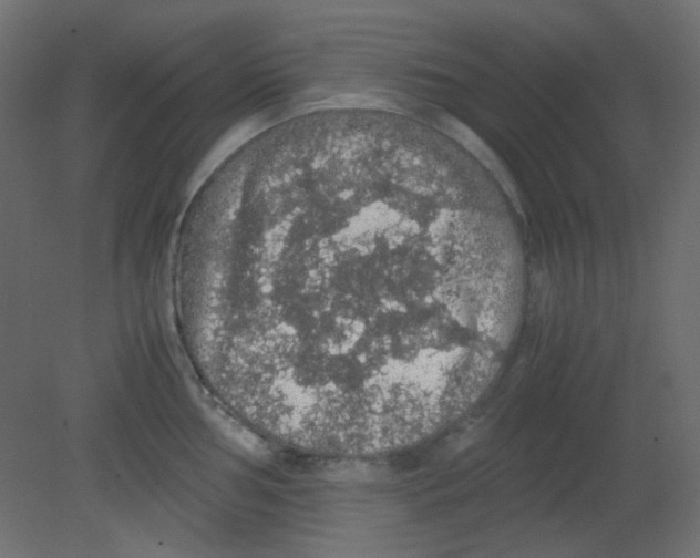 X0000080731002200701121905