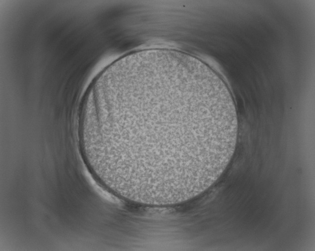 X0000080731003200701121905