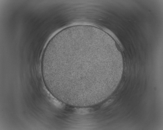 X0000080731004200701121905