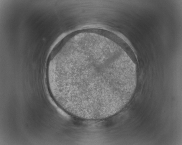 X0000080731005200701121905