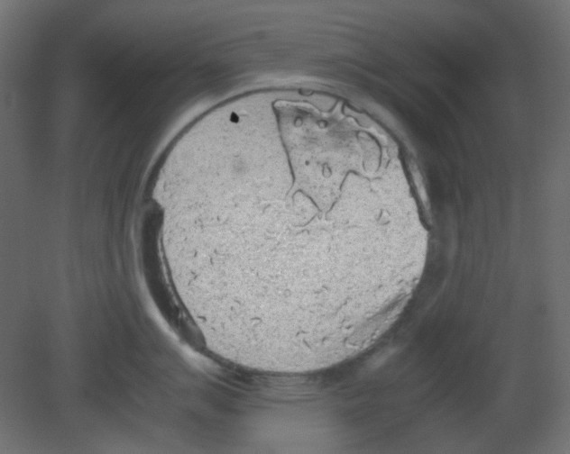 X0000080731007200701121905