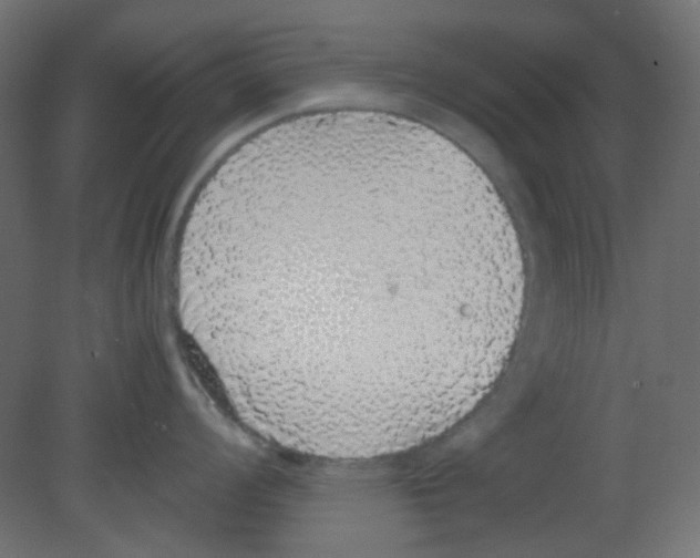 X0000080731008200701121905