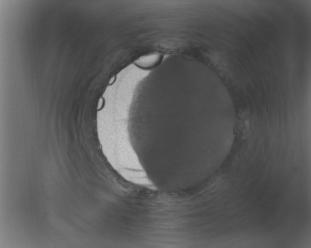 X0000080731009200701121905