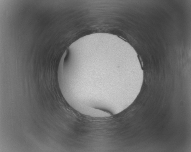 X0000080731010200701121905