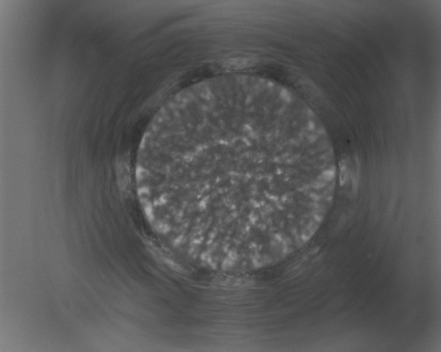 X0000080731011200701121905