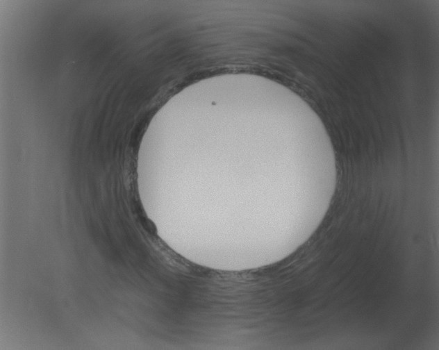 X0000080731012200701121905