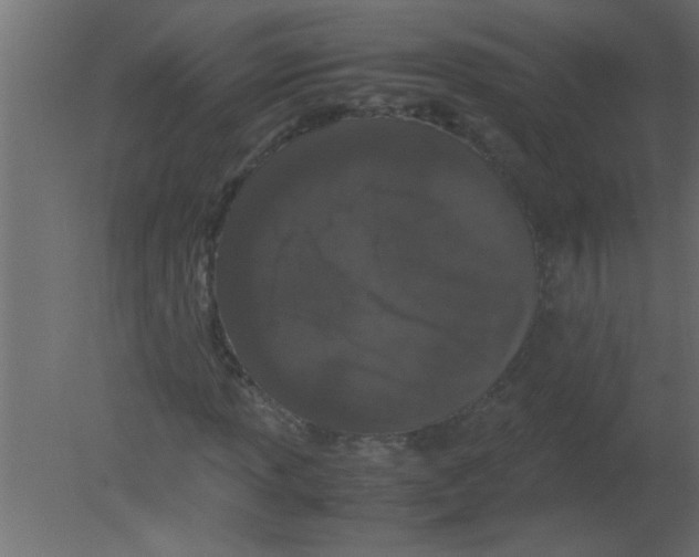 X0000080731013200701121905